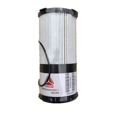 Parti di autoveicoli Fs20190 Filtro del carburante Wg9925550966 per autoveicoli Sinotruk HOWO T7h C7h T5g