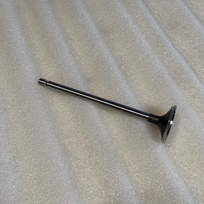C3940734 Valvola di scarico ad aria per motore ISDe di Dongfeng