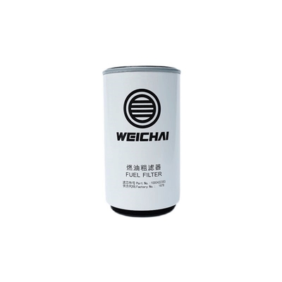 SINOTRUK HOWO SHACMAN Parts Filtri industriali Sostituzione del motore Weichai WP12 Anno 2006-