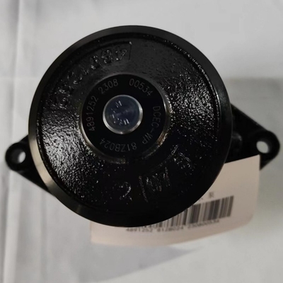 C4891252 Pompa d'acqua per OEM Componenti di ricambio standard per motori diesel e accessori per camion