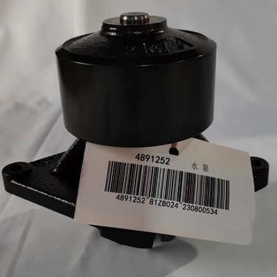 C4891252 Pompa d'acqua per OEM Componenti di ricambio standard per motori diesel e accessori per camion