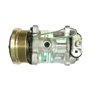 Sinotruk HOWO Compressore ad aria condizionata Wg1500139008 per autoveicoli