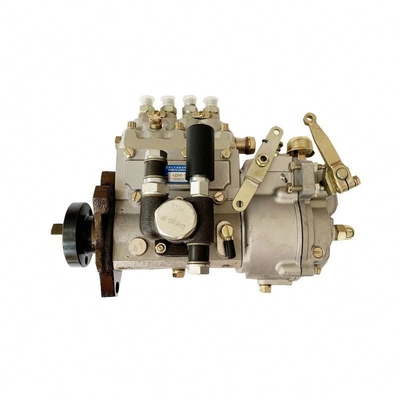 Sinotruk Howo Truck Yuchai 1YC4D130-48 Parti del motore D7300-1111010-351 Pompa di iniezione del carburante