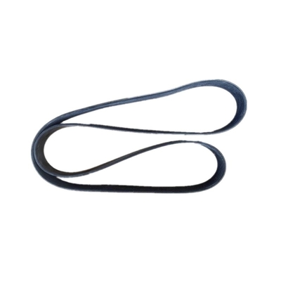 OEM Standard Heavy Truck Spare Parts Belt 504049426 12PK1835 per la sostituzione/riparazione