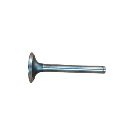 Valvola di scarico migliore T3142A051 D-37 per FOTON Auman colore originale