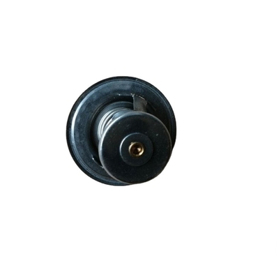 Termostato standard di 76 gradi per il camion fotonico SINOTRUK CNHTC T2485613 T74405005