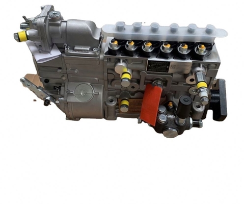 Colore originale Vg1560080023 Pompa di iniezione del carburante per ricambi Sinotruk 160*150*150 mm
