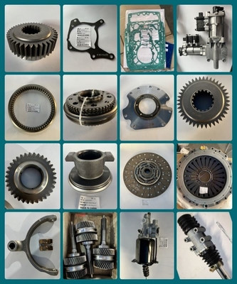 Assorbente d'urto anteriore per autoveicoli Foton Ollin Parti di ricambio/riparazione e originali